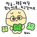 라잇텍 | 행복이 데굴데굴 굴러옵니다 웃을일이 많아집니다