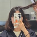일성미용실 - 진주시 동부로 2020 | 강동역 미용실 레비헤어 염색 첫 방문 고객 40% 할인 내돈내산 후기, 붉은기 잡는 브라운 컬러 대만족