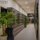 피트밀리경산