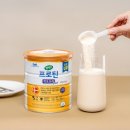 매일헬스뉴트리션(주) | [근력 건강 정착템] 매일헬스뉴트리션 셀렉스 프로틴...608g 솔직후기 (근력 개선 단백질 파우더 추천)
