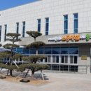 안성 캘리그라피 이미지