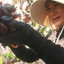 금화농장 이미지