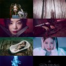 이레비디오 이미지