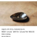 다하이야기 네이버블로그