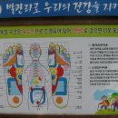 두척계곡 이미지