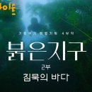 수온 상승으로 제주 바다가 죽어가고 있다 | 붉은 지구 2부 침묵의 바다 KBS 210909 이미지