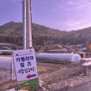 진도카멜리아힐즈오토캠핑장 이미지
