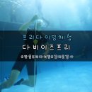 다비래쉬 이미지