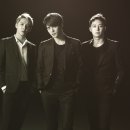 씨제스엔터테인먼트 카카오 검색결과