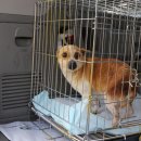 용종농장 이미지