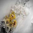 노원을지대학교병원 이미지