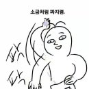 도우맨션 이미지