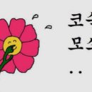 김치찌개랑 뒷고기 이미지