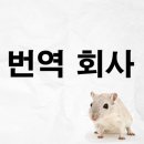 윈윈동시통역