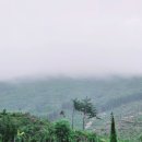 녹유정교육농장 이미지