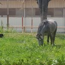 보람축산 이미지