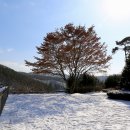 서일 농장 이미지