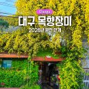 은휼강 | 대구 목향장미 카페 은휼강 지금 피크 포토존 꿀팁