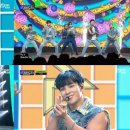 탄이네 이미지