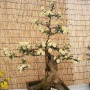 상기카센타 이미지