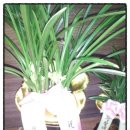 대박 행정사 사무소 이미지