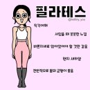 PT MATE | 동탄 반송동 필라테스 직장인 퇴근하고 운동 화이트짐 필라테스블랙 반송북광장점 후기