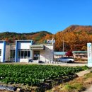 방곡보건진료소 이미지