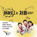 한국체대 호림태권도장 이미지