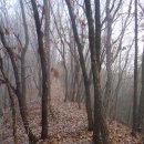 자라목펜션 | 화악지맥 마지막 제3구간, 가일고개에서 자라목까지 산행 후기