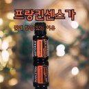 태리_도테라