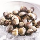 (주)우리난청보청기 이미지