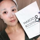H1526 이미지
