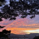 숲의하루 이미지