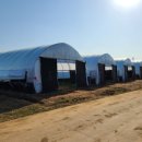 영지2농장 이미지