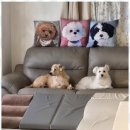 어뮤즈 호텔 이미지