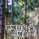 나무병원건강한숲 이미지