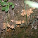 태암농장 이미지