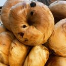 (주)그린웨이 금산지점 | 천하제빵: 경찰 파티시에, 생활의달인, 노래하는제빵사 가게 위치, 웨이팅 팁