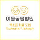 여울동물병원 이미지