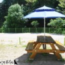 호반애견훈련소 이미지