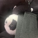 풍기북로 이미지