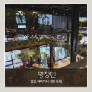 하이파크로 | [고양|일산 카페] 명장텐 내돈내산 후기｜일산호수공원 근처 베이커리 맛집