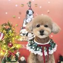 멍블리 펫 이미지