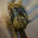 아중새천년약국 이미지