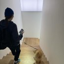 정화슈퍼 이미지