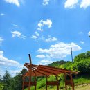옥성문구 | 1박 2일 힐링... 구미 에코랜드 옥성자연휴양림 숲속의 집