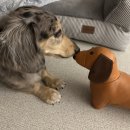 수아분식 이미지