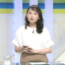 변호사박아롱법률사무소 이미지
