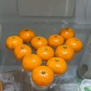 영주목장 | 이리저리 일상-연말새해