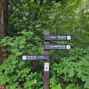 형제건설 | 관악산 ⛰️ 등산 후기 | 캉캉치마 입고도 안 힘들다던 친구를 믿은 결과😂